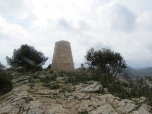 IMG_5117 (Medium)